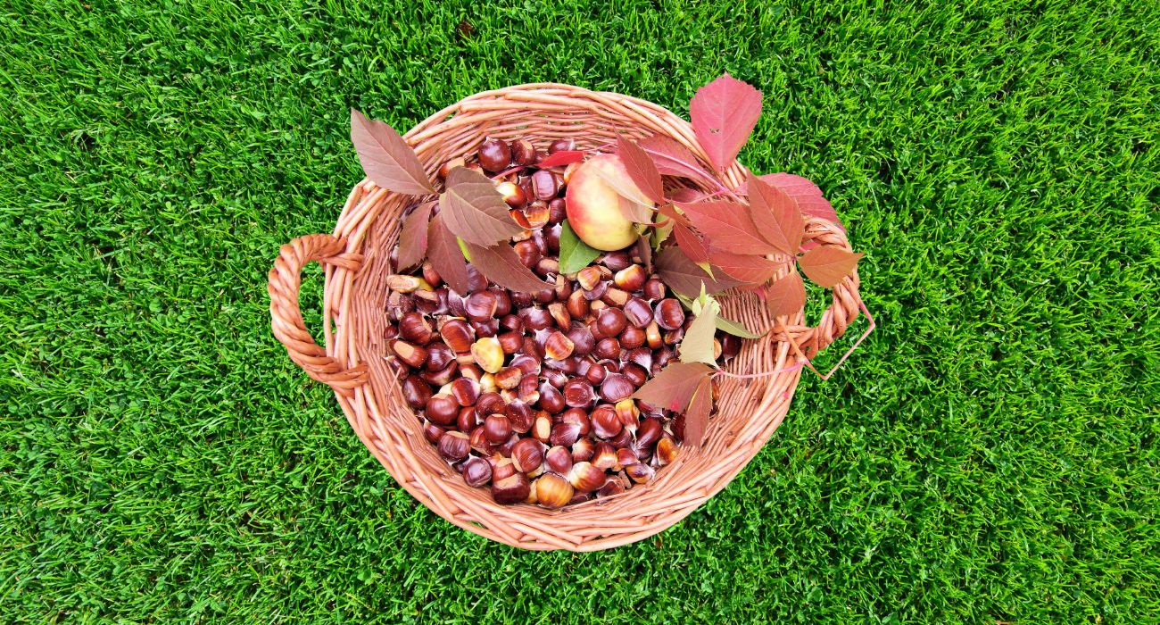 4 Ristoranti: in Trentino scoppia la polemica