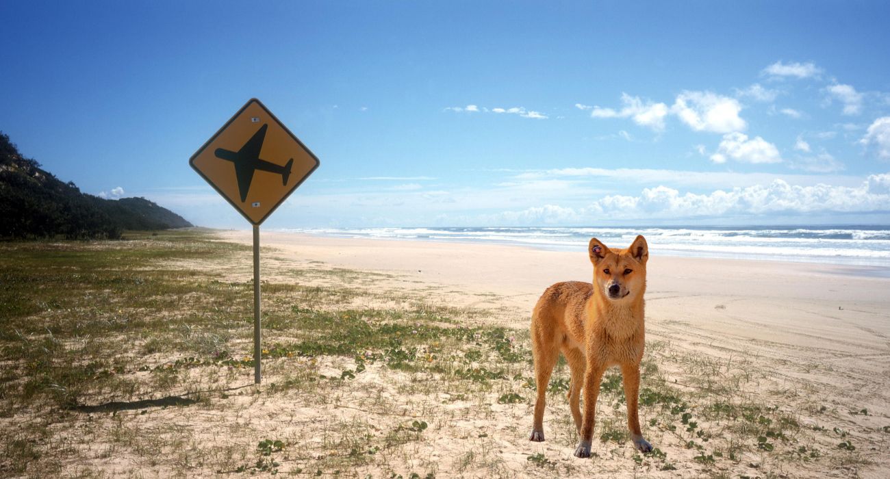 L'isola Fraser: ecco qual è la più pericolosa del mondo