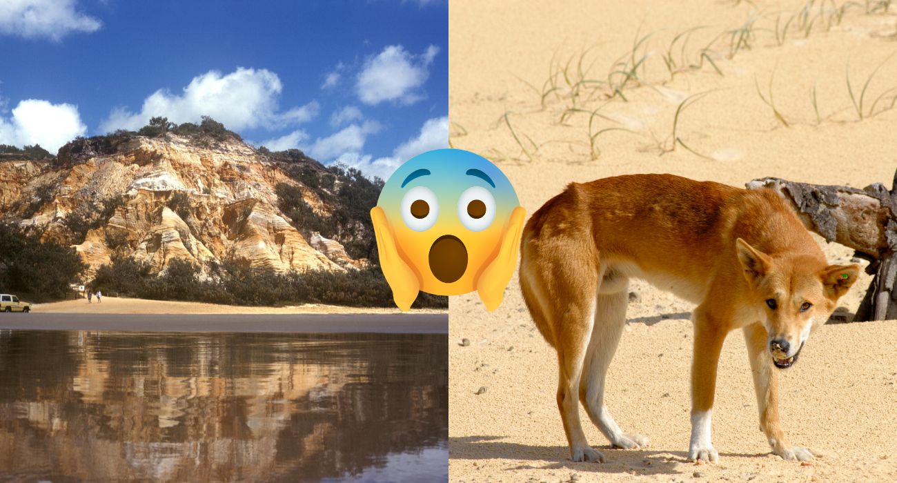 L'isola Fraser e i suoi pericoli