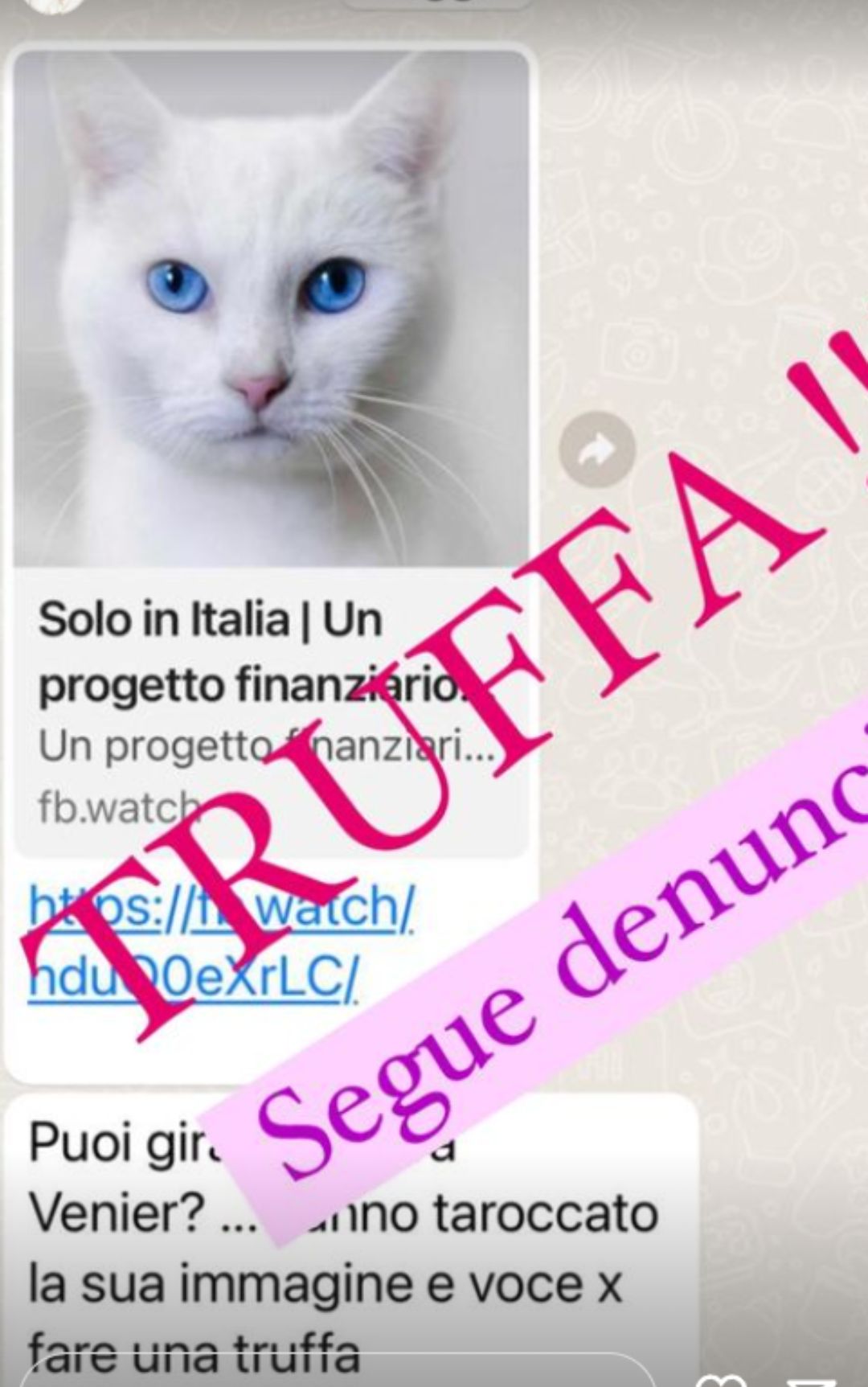 mara-venier-storia-truffa