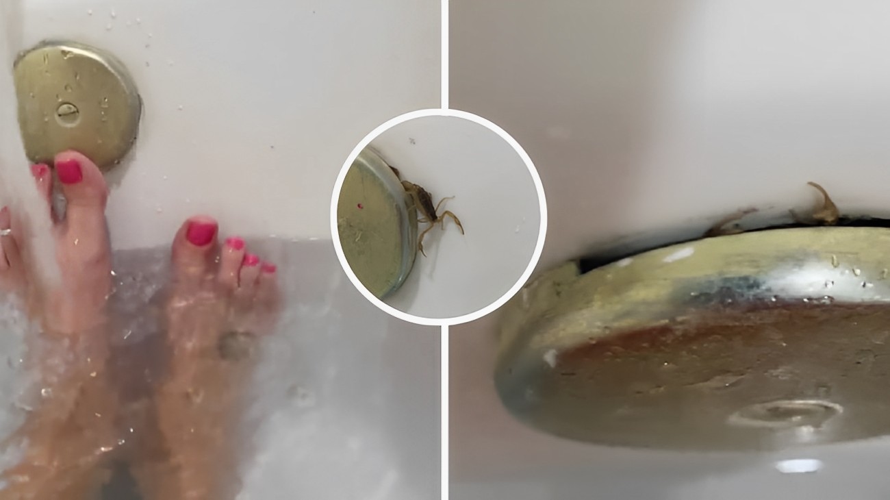 vasca-ospite-sgradito