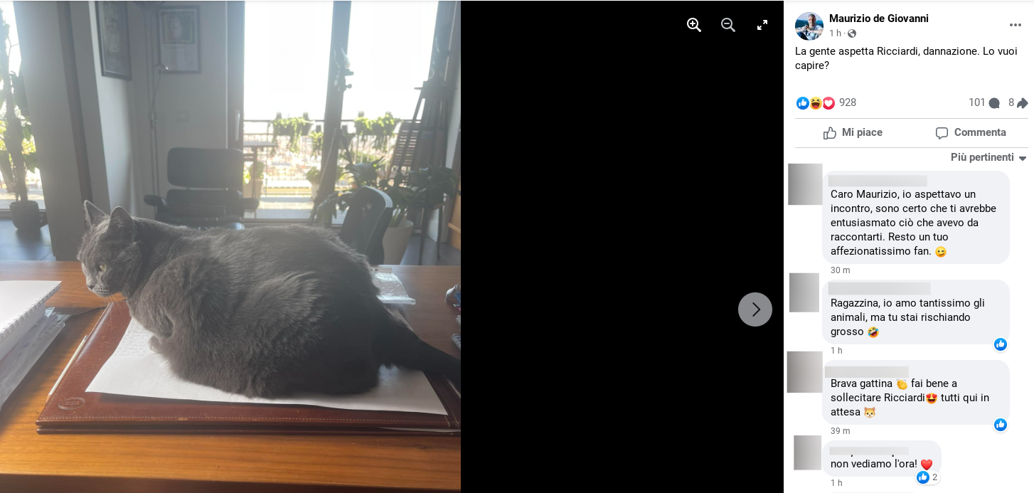 futura-istruzione-il-commissario-ricciardi-autore-fan