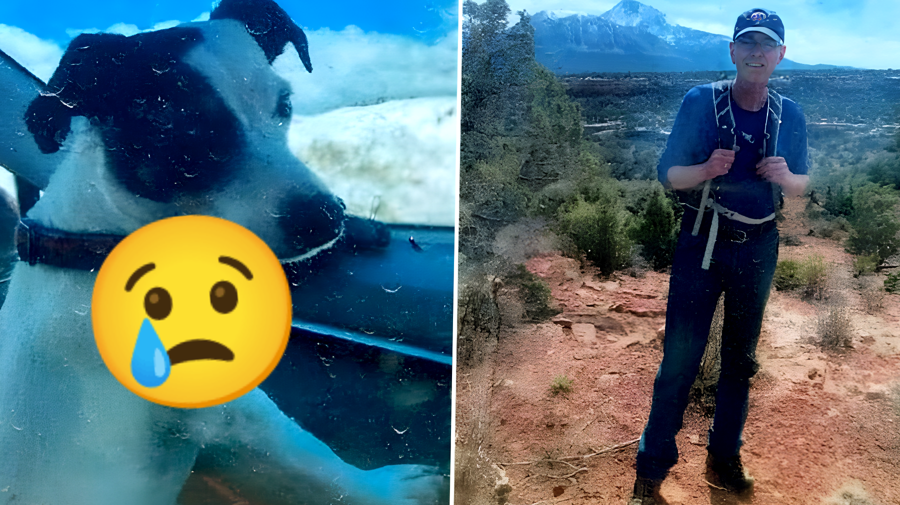 Il mistero dell'uomo scomparso in montagna: il suo cane ha vegliato su di lui per 2 mesi, ma cosa è successo davvero?